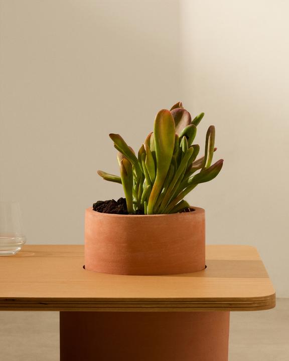 Actual product image Kave Home Olaria (110 x 60 x 30 cm)