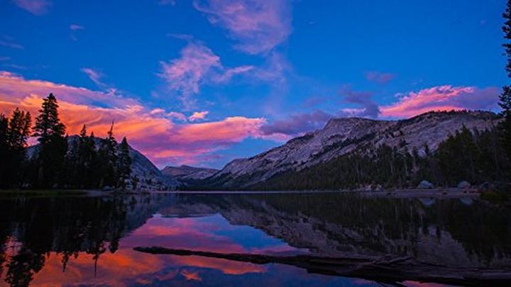 Produktbild Samyang 12mm f/2 NCS CS - Sony E (Sony E, APS-C / DX)