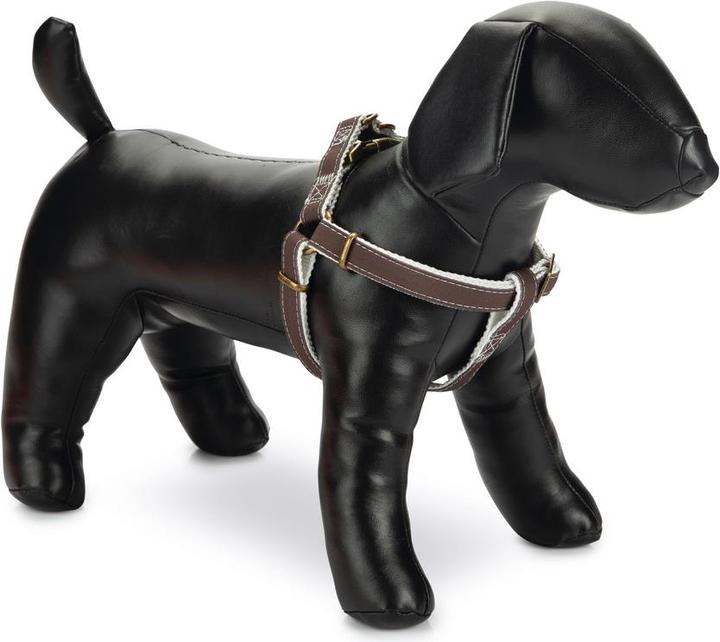 Image du produit Designed by Lotte Virante (45, Chien, Promenade)