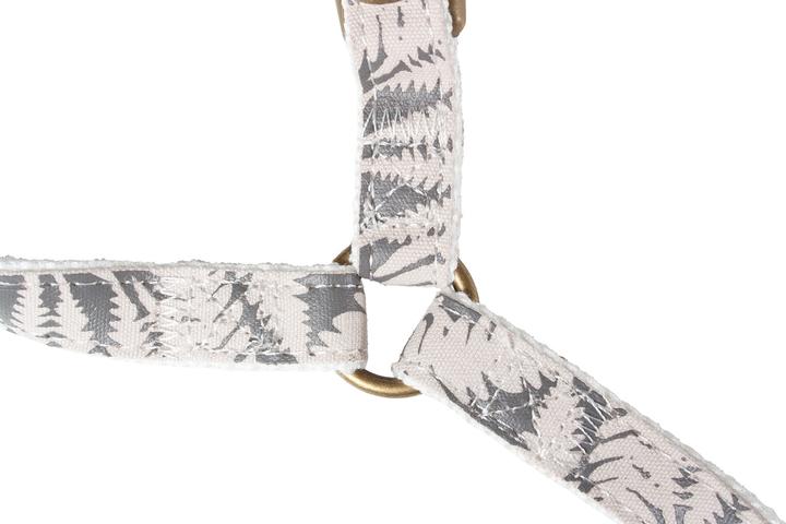 Produktbild Designed by Lotte Oribo (46, 47, 48, 49, 50, 52, 54, 56, 58, 60, 62, 68, Hund, Allgemein)