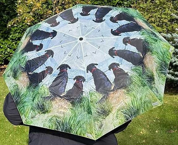 Produktbild Teka Regenschirmhunde in den Dünen