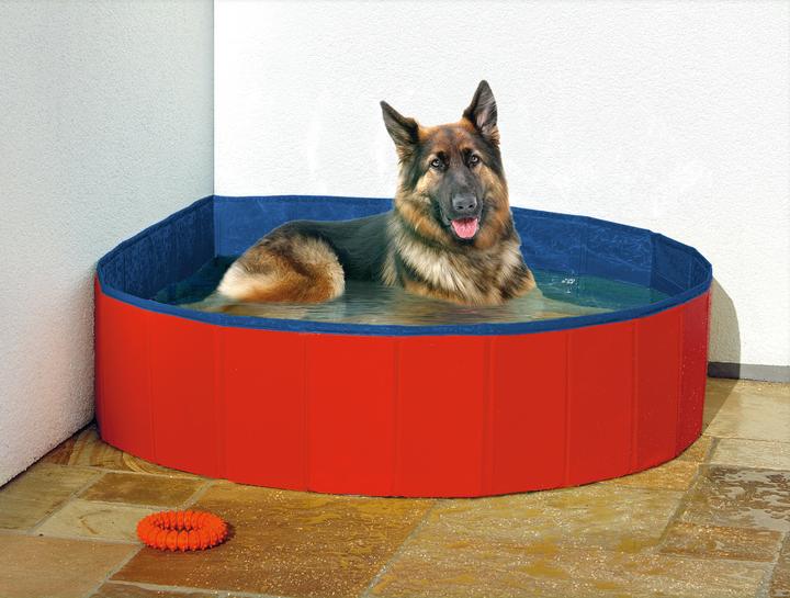 Actual product image