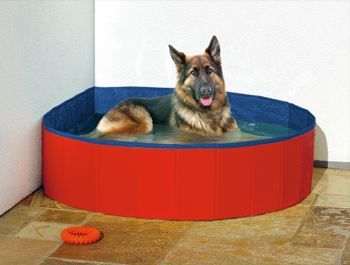 Actual product image Karlie Doggy
