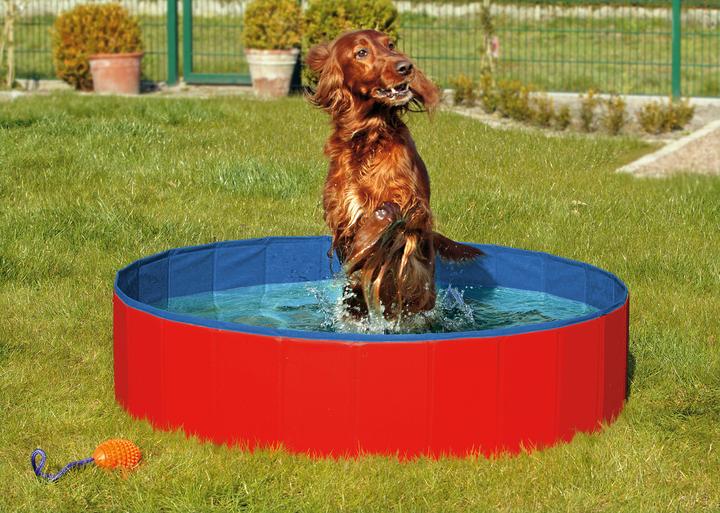 Actual product image