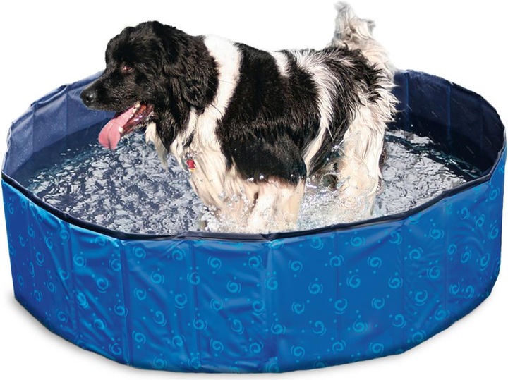 Actual product image Karlie Doggy