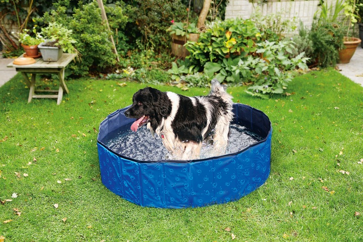 Actual product image Karlie Doggy