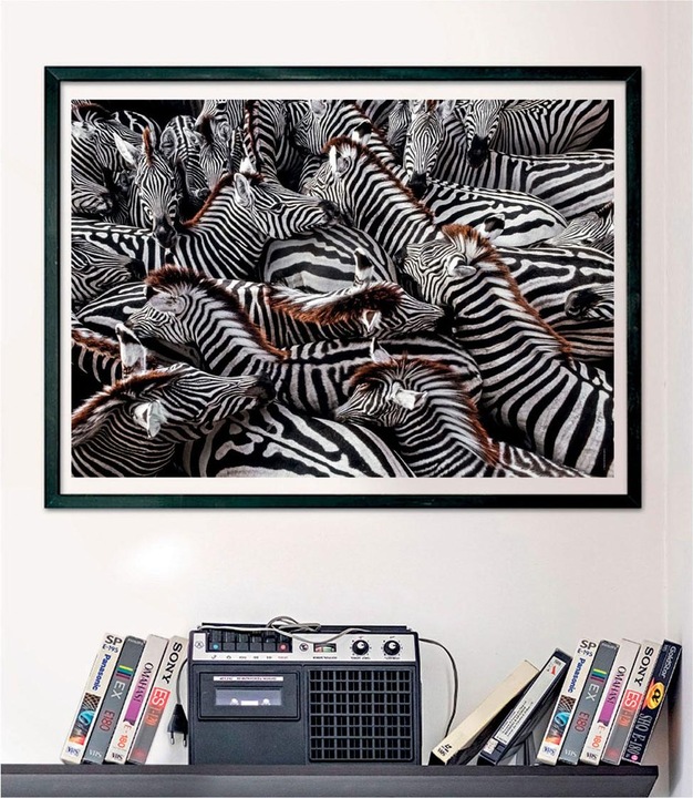 Immagine prodotto Clementoni Puzzle National Geographics - Zebra, 1000 pezzi. (1000 pezzi)