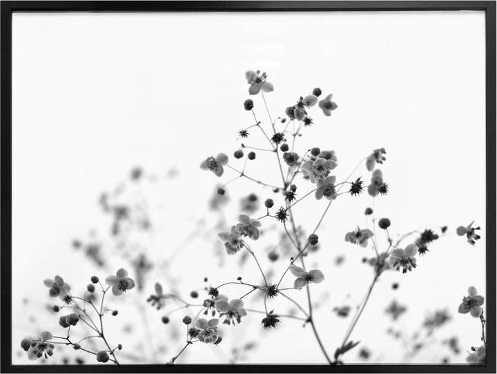 Image du produit Trenddeko Délicates herbes de prairie (40 x 30 cm)