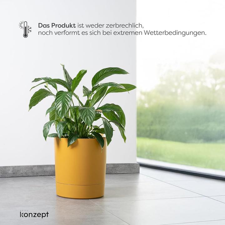 Produktbild Konzept Grosser Blumentopf