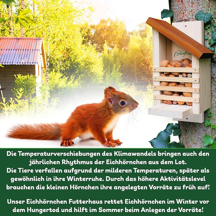 Produktbild Erdenfreund Eichhörnchen Futterhaus