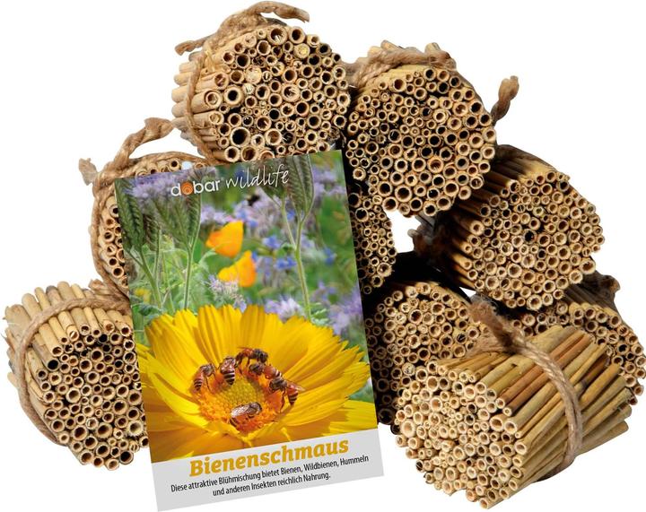 Actual product image Dobar Reed stalk set (Bee, Wild bees)
