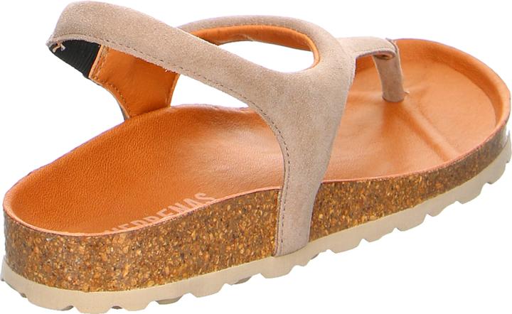 Actual product image Verbenas REAGAN Piedra (40)