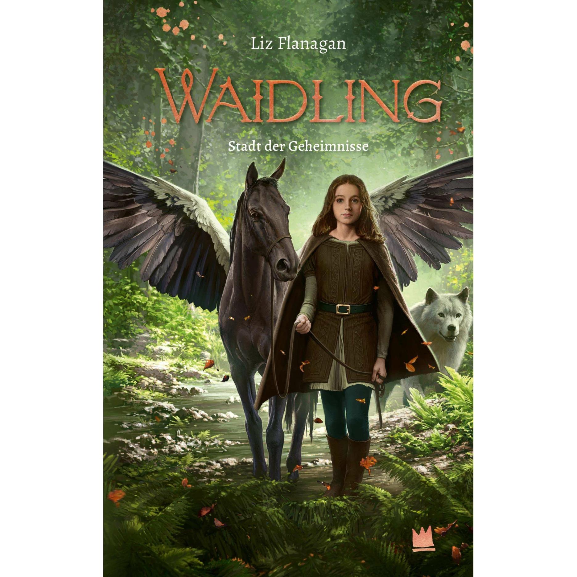 Waidling (Band 2): Stadt der Geheimnisse, Kinderbücher von Liz Flanagan