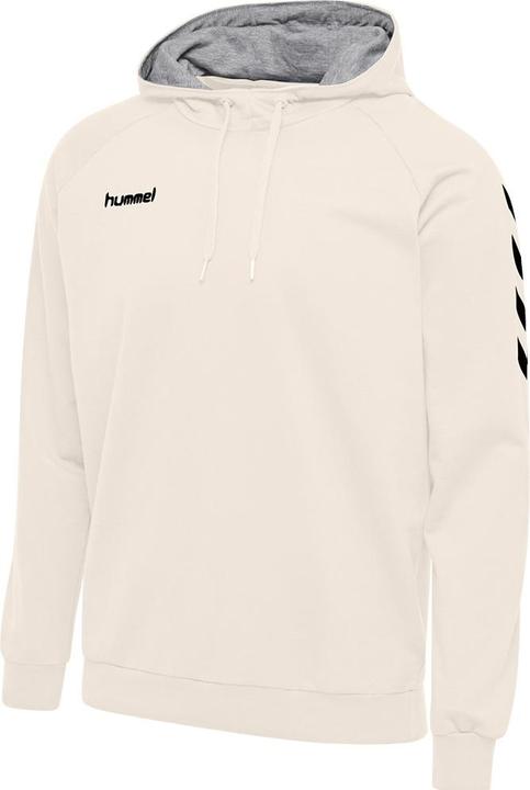 Produktbild hummel Go Kids Cotton Hoodie (176)