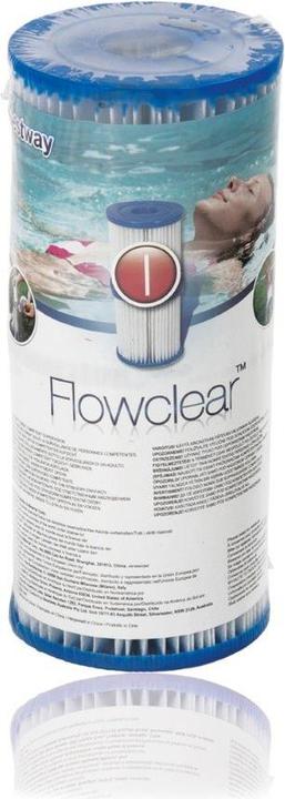 Actual product image Bestway filter cartridge