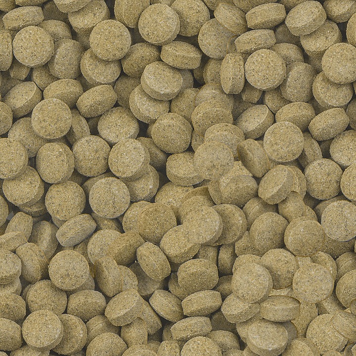 Image du produit Sera Viformo pour les poissons-chats (Poisson-chat, 100 ml)