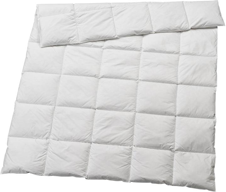 Image du produit Billerbeck Couette Medium 90 batiste 200 x 210 cm (880 g, 200 x 210 cm)