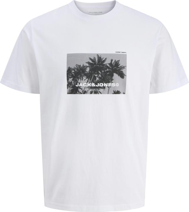 Produktbild Jack & Jones Jcoversion Tee Ss Crew Neck Stydss25 (S)