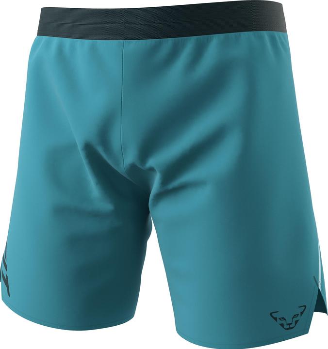 Actual product image Dynafit Alpine Shorts (XL)