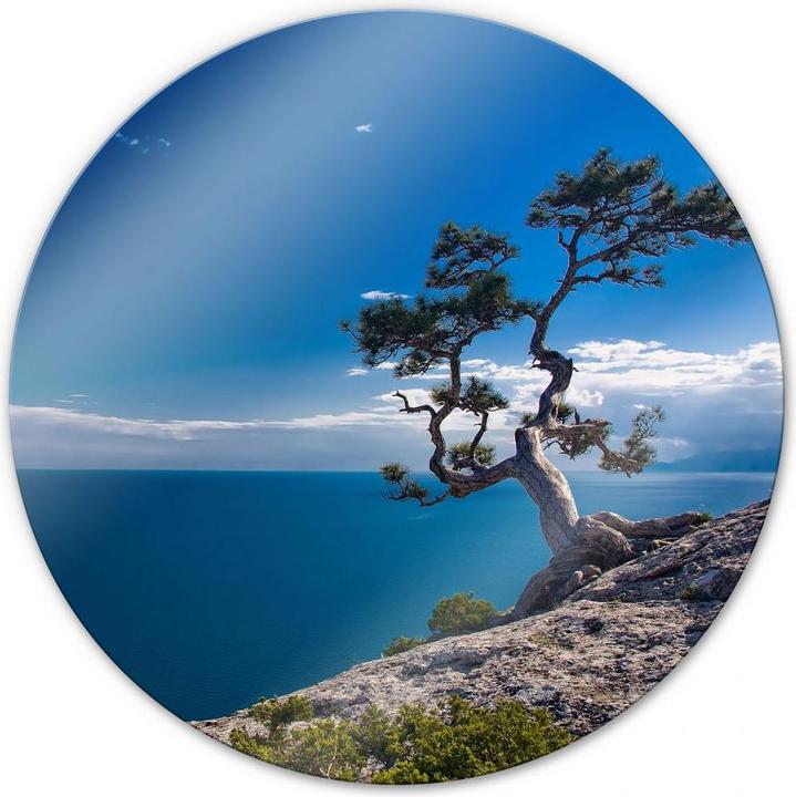Trenddeko Sea and Tree - rund