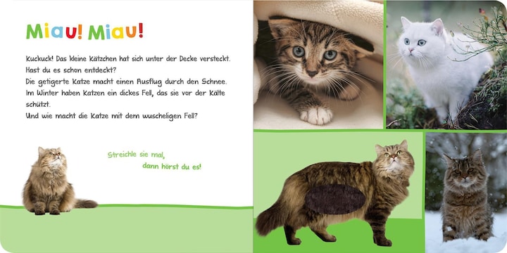 Actual product image Listen in, who can that be? - Cuddly animals (German)