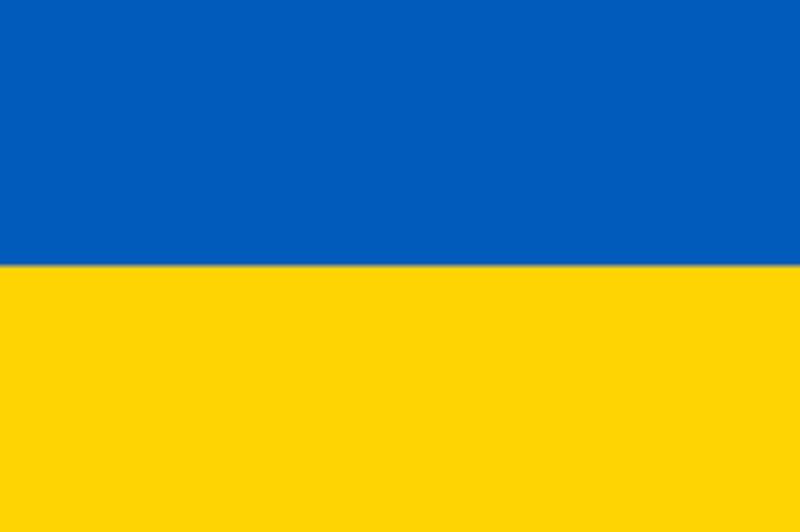 Actual product image FT Flag Ukraine with eyelets