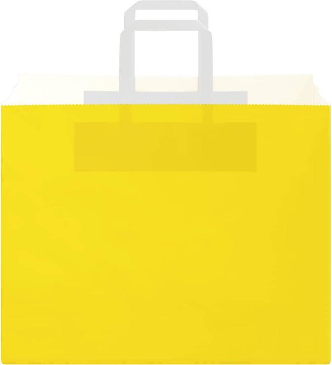 Actual product image vidaXL Papiertragetasche (250x)