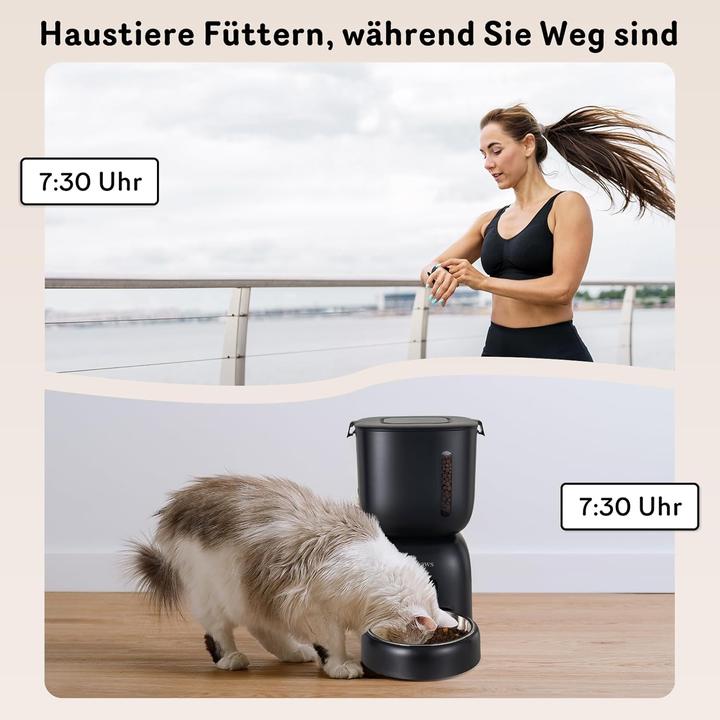 Image du produit Sarpaws Katzenfutter- und Wasserspender FW1 mit Timer (300 cl)