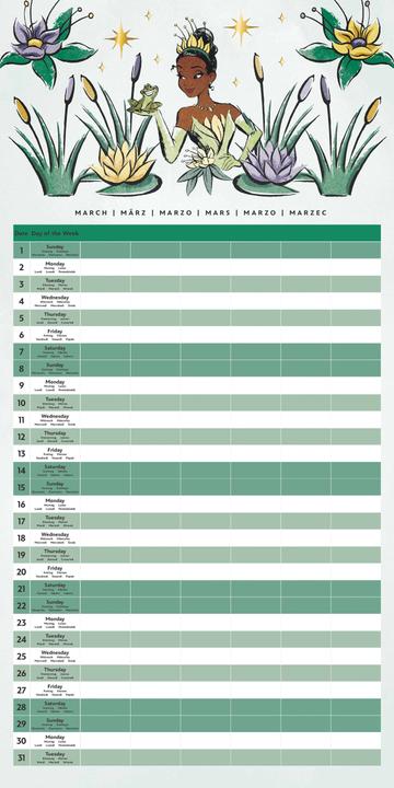 Produktbild Pyramid Disney Princess Calendar Family Planner w/Stickers 2026 (30 x 60 cm)