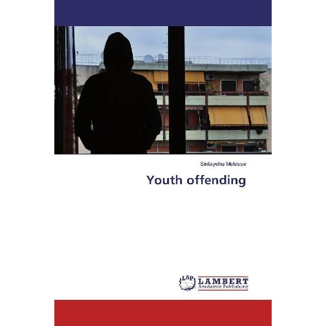 Youth offending, Fachbücher von Sintayehu Melesse