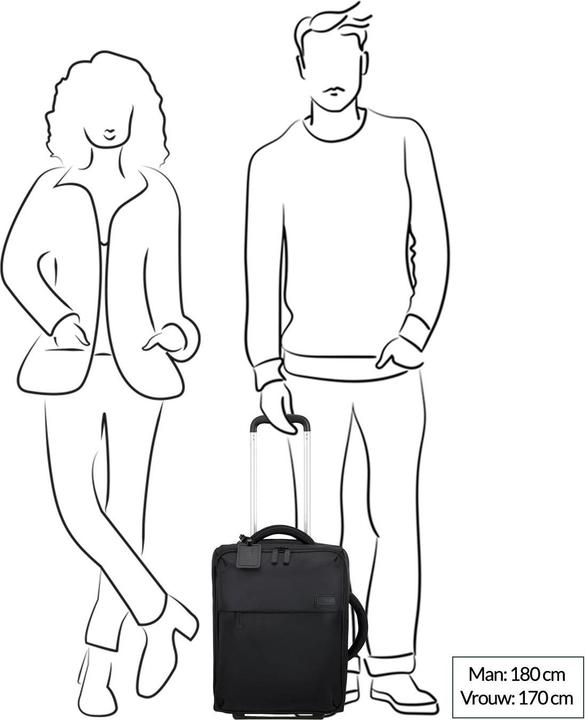 Actual product image Lipault Foldable Plume Mini Cabin (25 l)