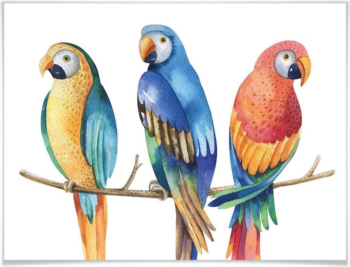 Produktbild Trenddeko Kvilis - Bunte Papageien (30 x 24 cm)