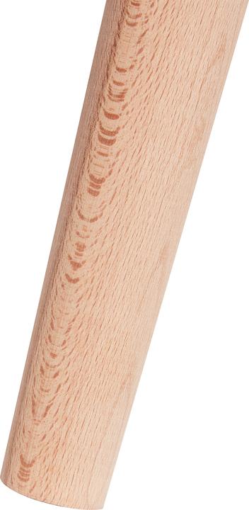 Produktbild Beliani Arisaema (27 x 57 cm)