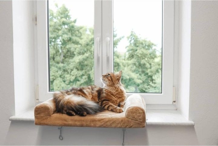Actual product image Kerbl Window bed (Dog, Cat)