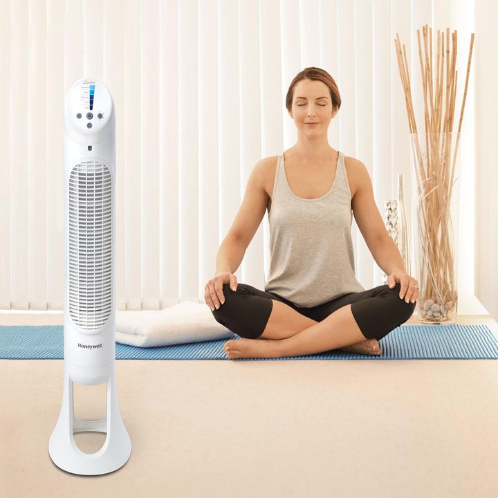 Image du produit Honeywell Hyf260e4 (48 dB)