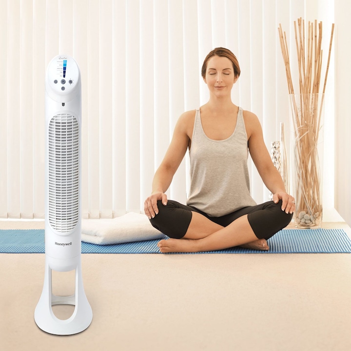 Actual product image Honeywell Hyf260e4 (48 dB)