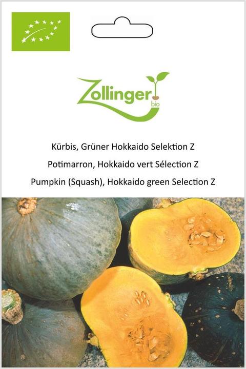 Produktbild Zollinger Bio Kürbis, Grüner Hokkaido Selektion Z (Keimlinge)
