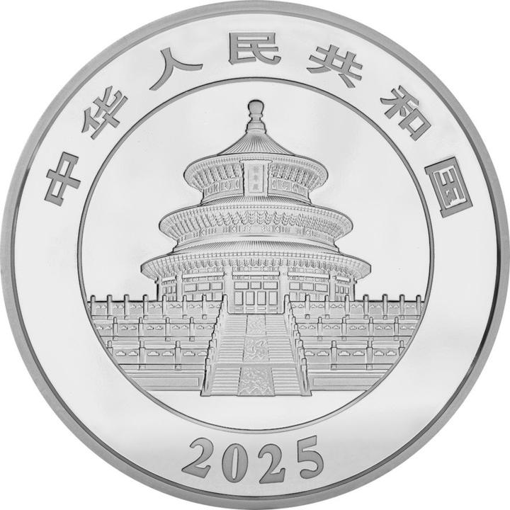 Produktbild China Mint Silber China Panda 150 g PP - Irisierend 2025 (999, 2025)