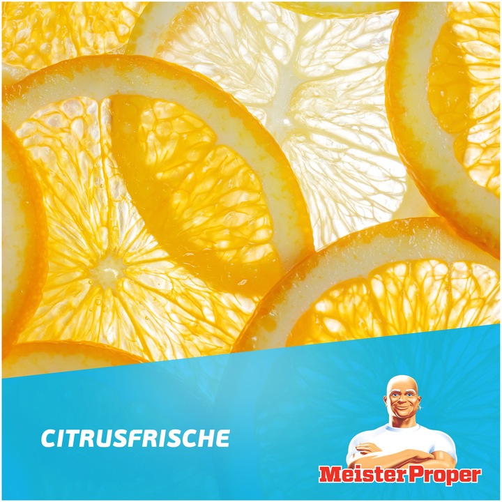 Produktbild Meister Proper Sprühen-Wischen-Fertig
