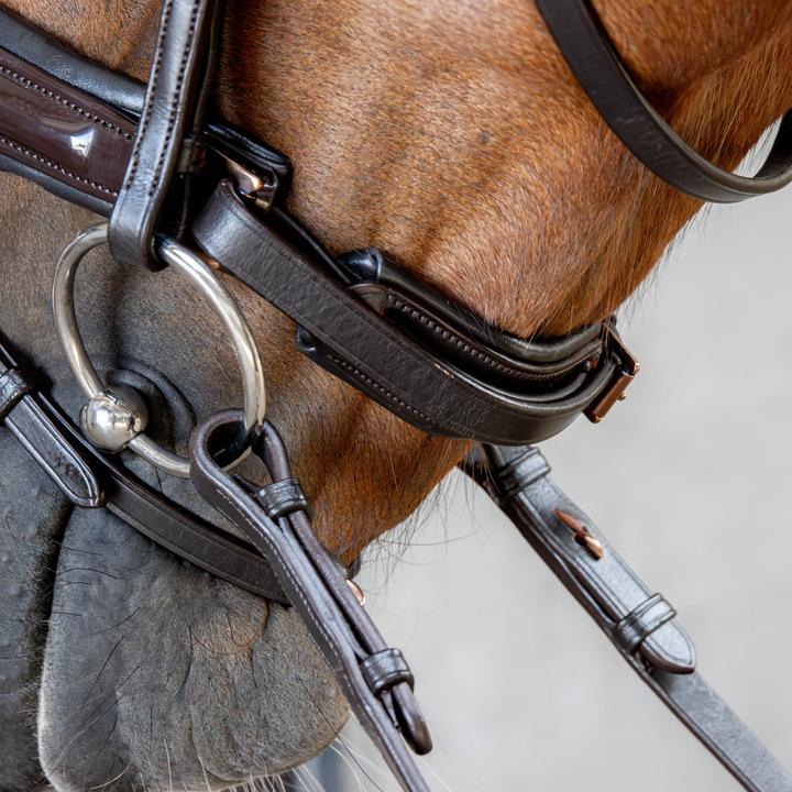 Image du produit Harry's Horse Copper