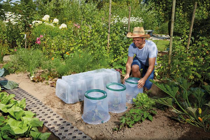 Image du produit Garantia Sunny