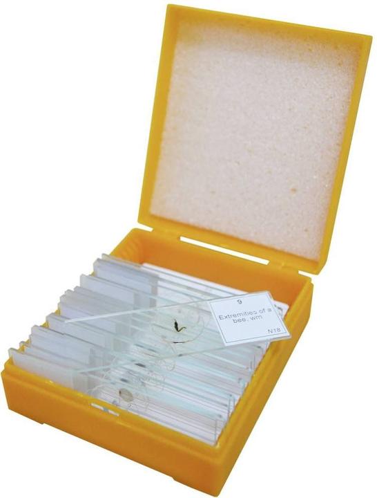 Immagine prodotto Levenhuk Set di vetrini N18 NG