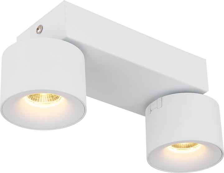 Actual product image Globo Rae