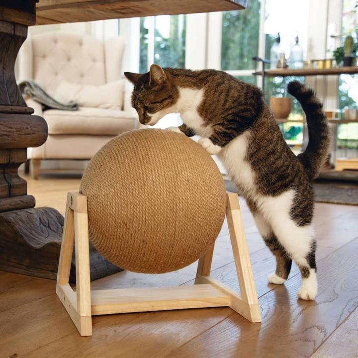 Actual product image Designed by Lotte Xem (35.50 cm, Brown)