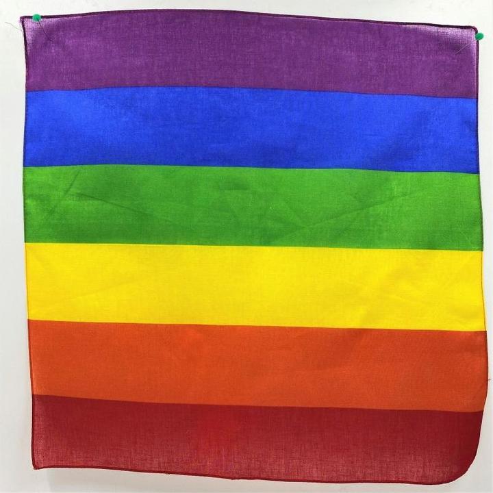 Immagine prodotto - SCIARPA LGBT 50 X 50