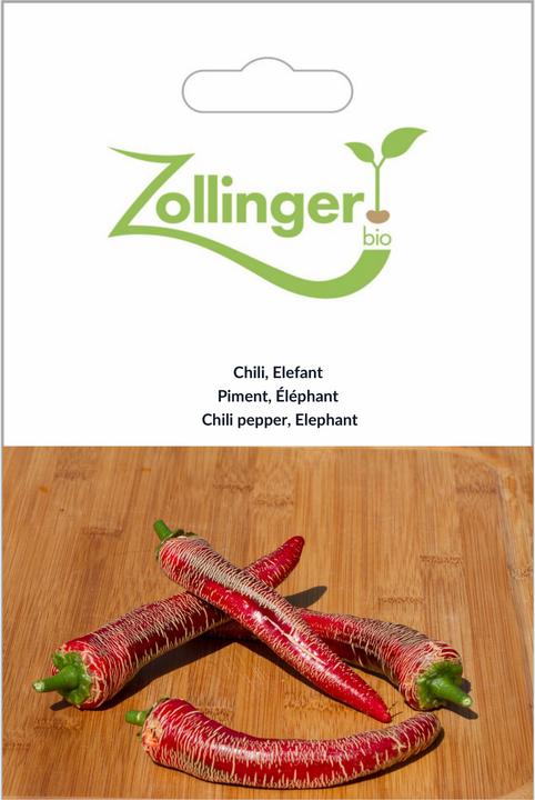 Zollinger Bio Chili, Eléphant (Seedlings)