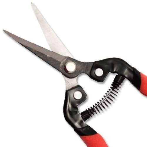 Actual product image Yato Professional Rose Shears Pruning Shears 190mm