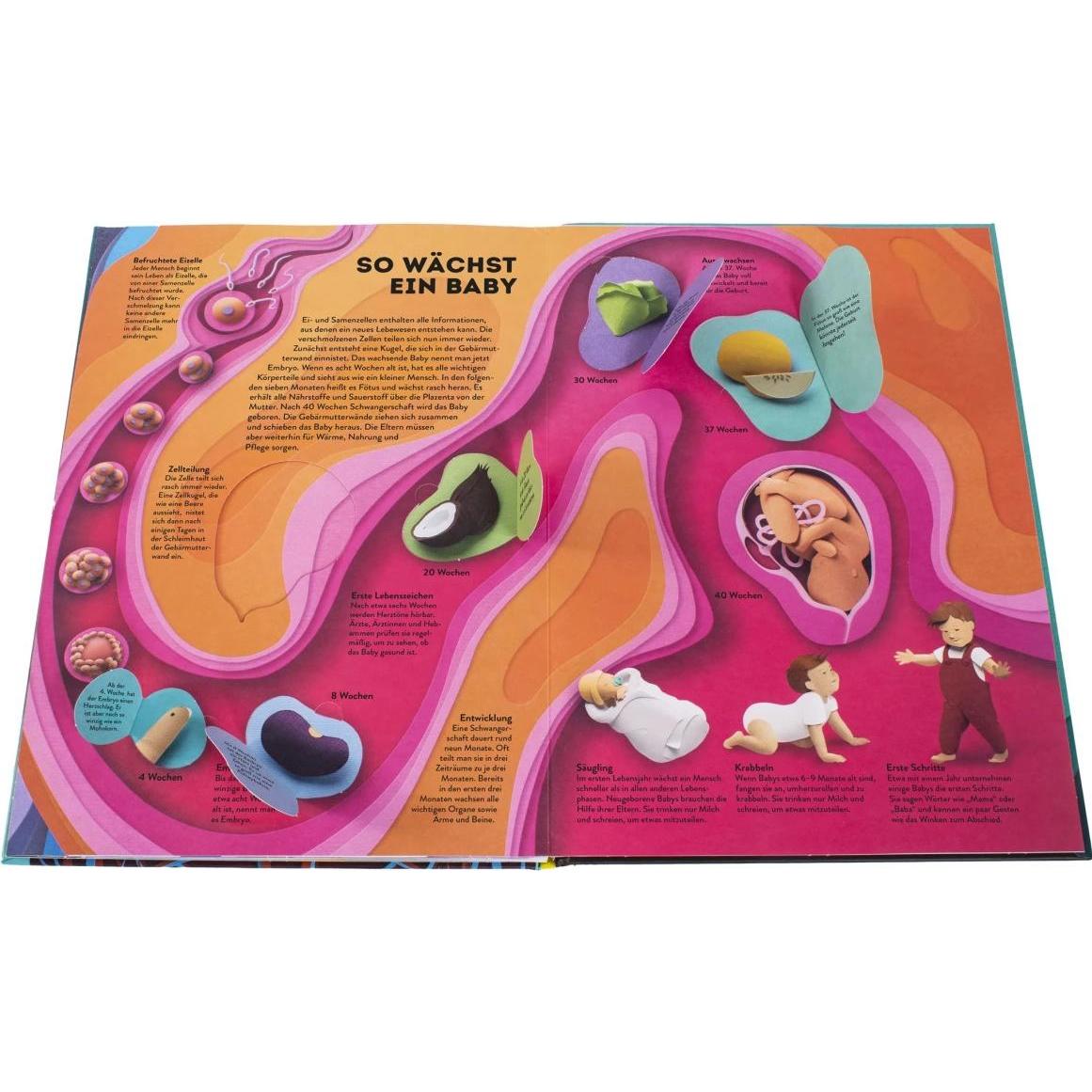 Thumbnail - Wissenswelten Körper, Kinderbücher von Ruth Symons, Birgit Reit, Gail Armstrong, DK Verlag - Kids
