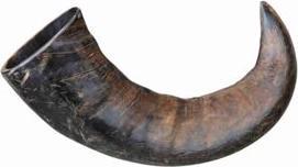 Image du produit Trixie Corne à mâcher naturelle de buffle (Adulte, 1 pcs, 120 g)