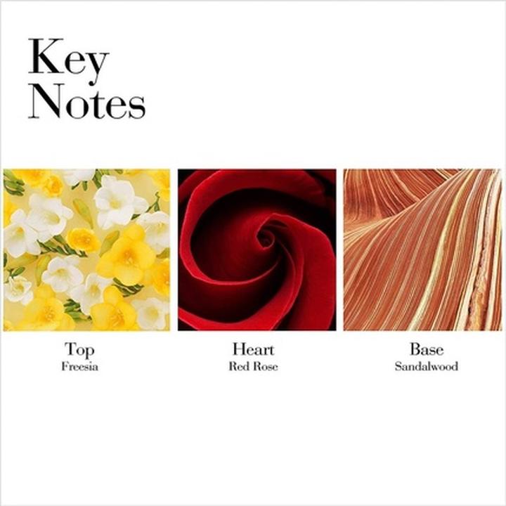 Actual product image Elizabeth Arden Red Door Body Lotion (Body lotion, 200 ml)